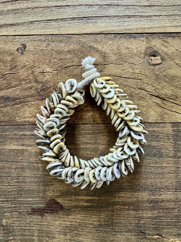 Cowrie Slice Bracelet  | Nomad